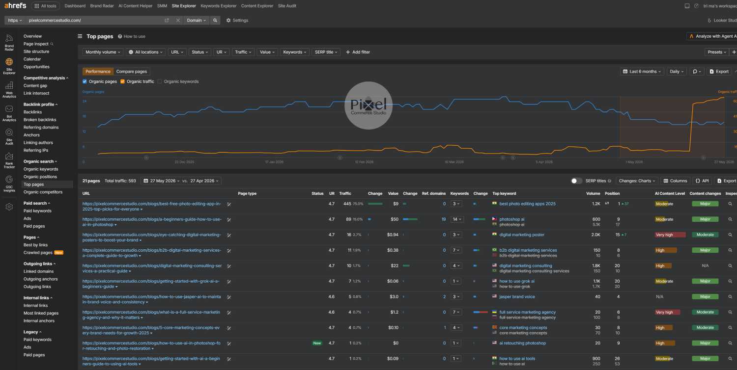 Ahrefs Top Pages dashboard tracking keyword rankings and traffic value for B2B content marketing.