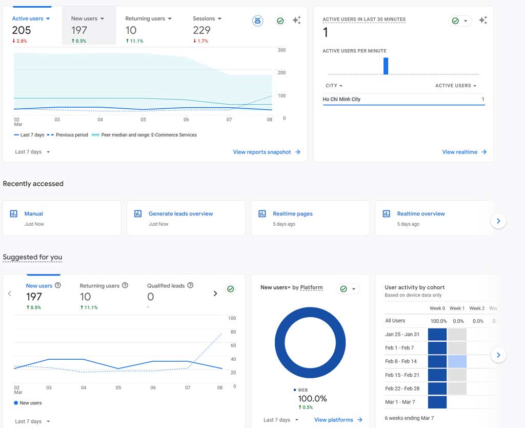 Analytics dashboard with user metrics, real-time data, and user activity, from a recent Pixel report.